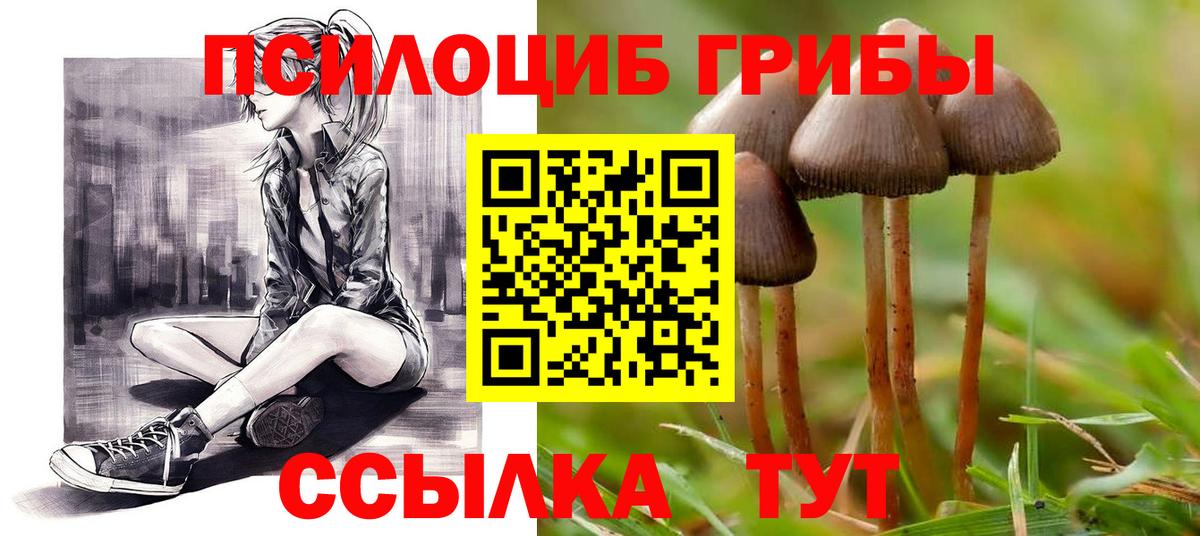 Оренбург  Галлюциногенные грибы ЛСД  Галлюциногенные грибы ЛСД  Вход с VPN 